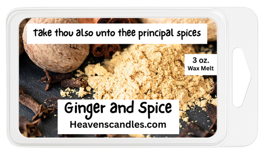 Ginger and Spice 3 oz. Wax Melt