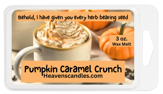 Pumpkin Caramel Crunch 3 oz. Wax Melt