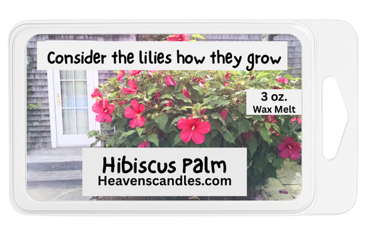 Hibiscus Palm 3 oz. Wax Melt