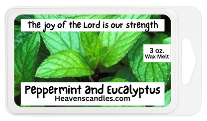 Winter Wax Melts