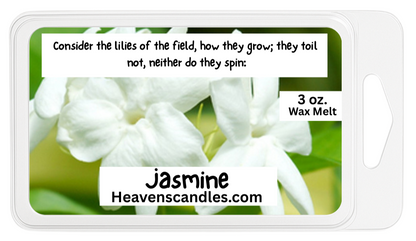 Summer Wax Melts
