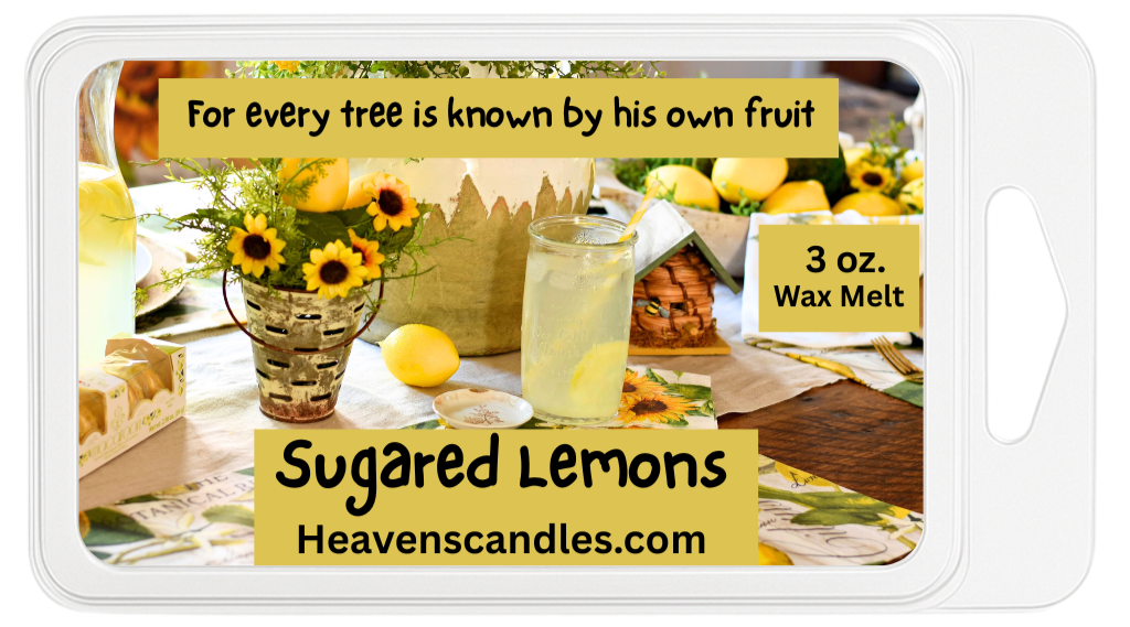 Summer Wax Melts