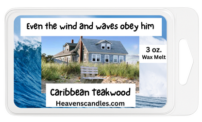 Summer Wax Melts