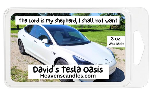 David's Tesla Oasis 3 oz. Wax Melt