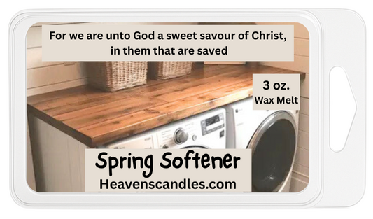 Spring Softener (like Downy) 3 oz. Wax Melt
