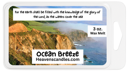 Summer Wax Melts