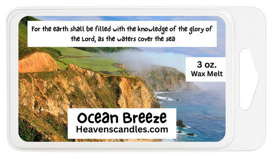 Ocean Breeze 3 oz. Wax Melt