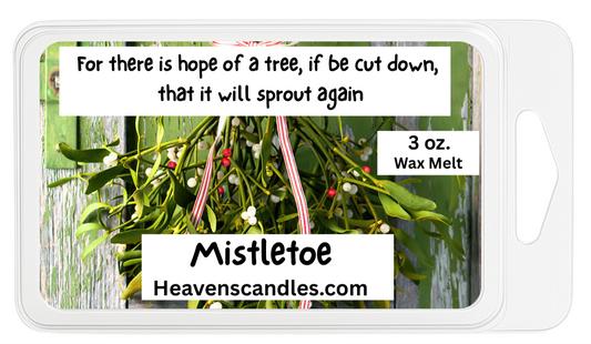 Mistletoe 3 oz. Wax Melt