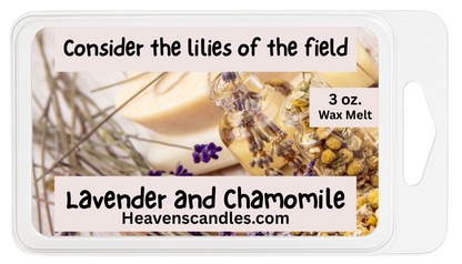Summer Wax Melts