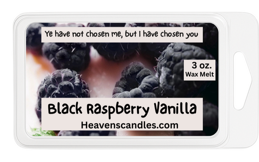 Black Raspberry Vanilla 3 oz. Wax Melt
