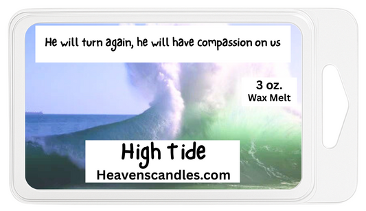High Tide 3 oz. Wax Melt