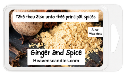 Winter Wax Melts