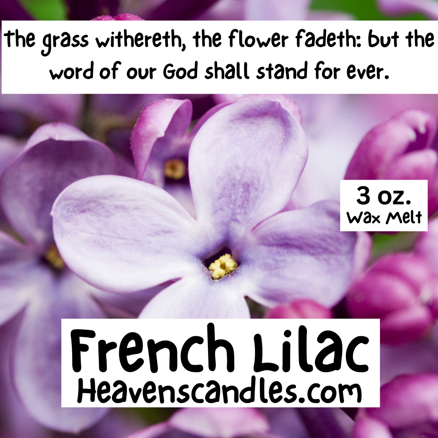 French Lilac (Strong)