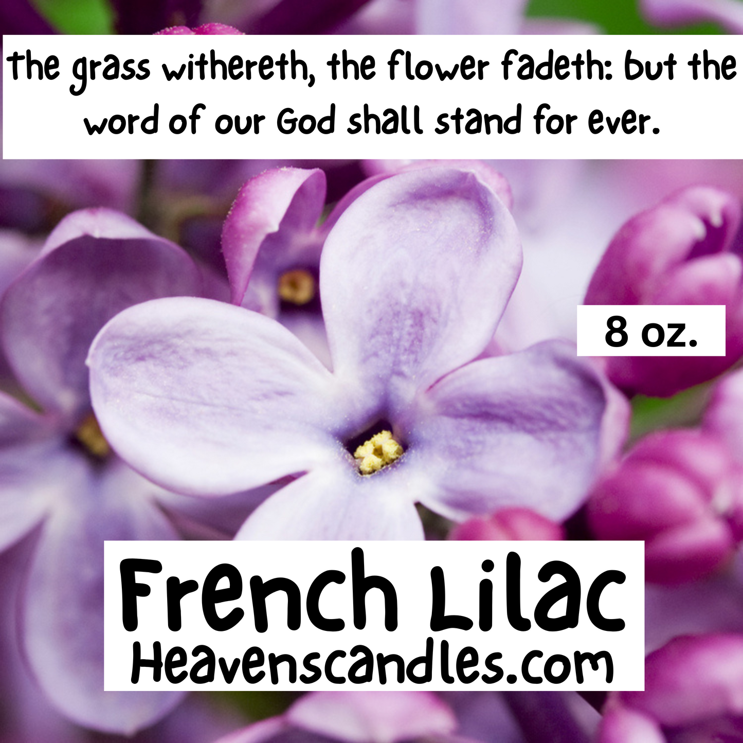 French Lilac (Strong)