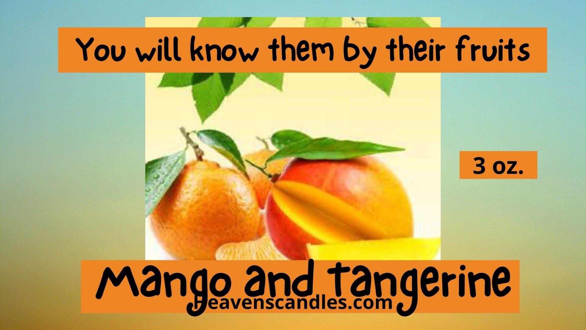  Archipelago Botanicals Mango Tangerine Boxed Candle, Mango and  Tangerine